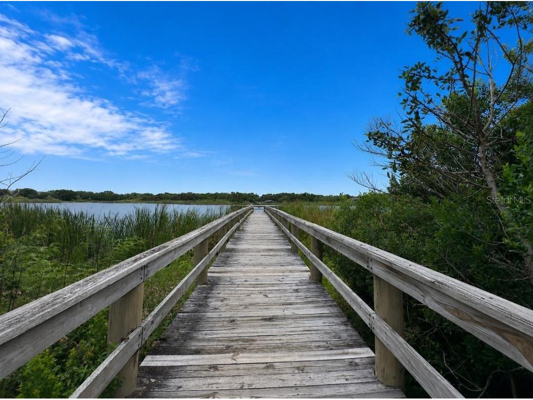 2358 Ecuadorian Way #56 Clearwater FL 33763 TB8499920 image46