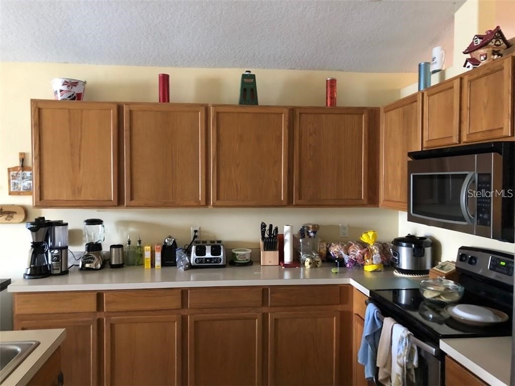 2358 Lily Pad Lane Kissimmee FL 34743 O6346665 image5