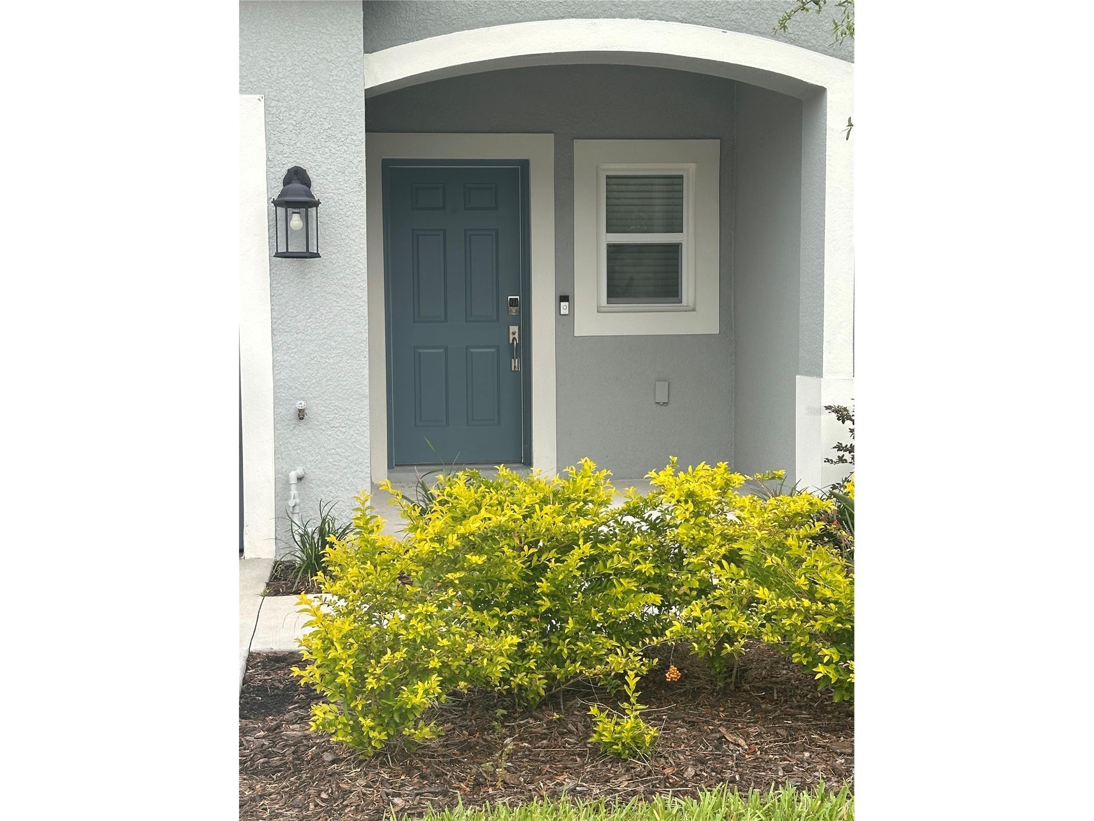2358 Paravane Way Wesley Chapel FL 33543 TB8514039 image1