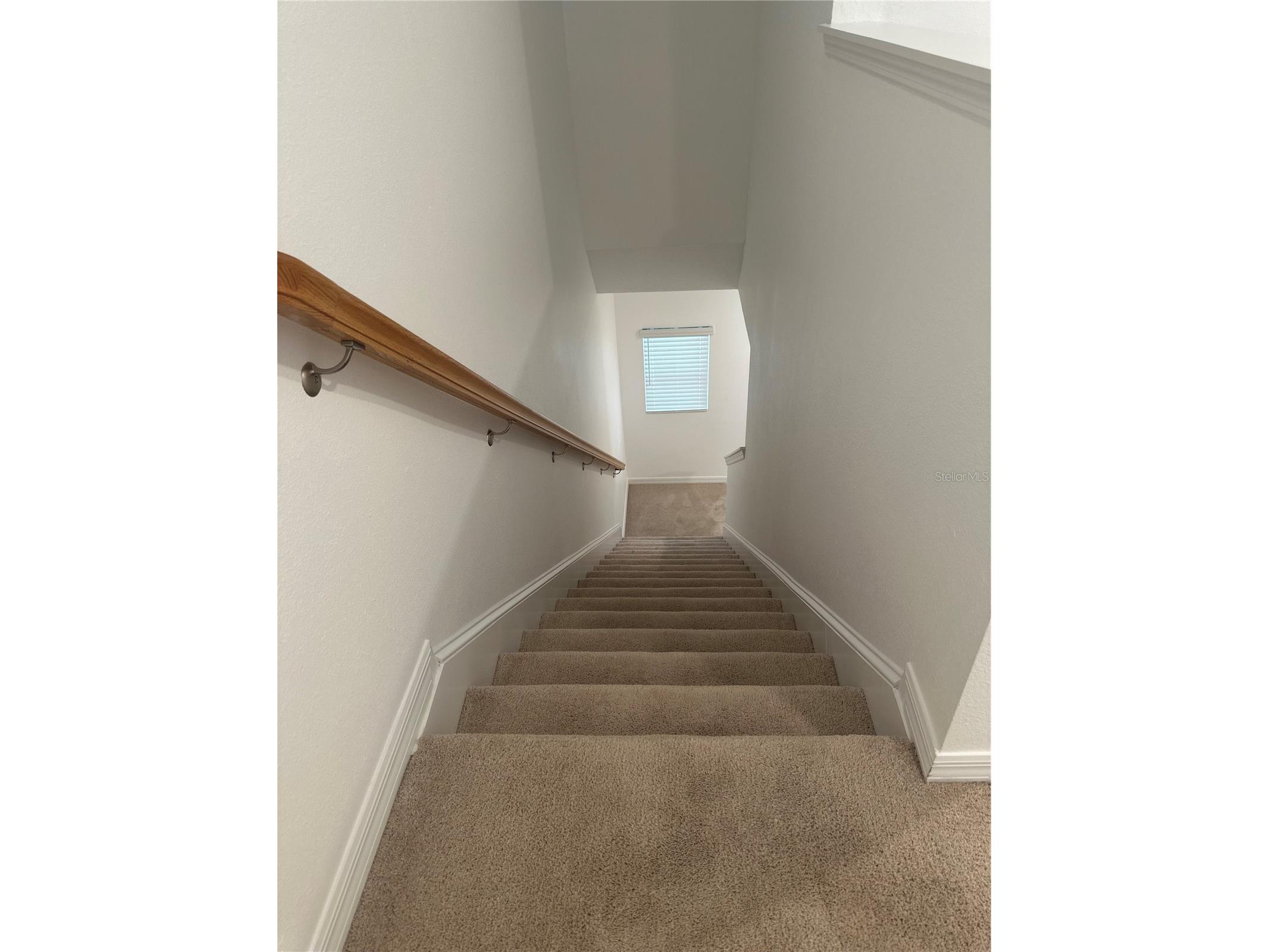 2358 Paravane Way Wesley Chapel FL 33543 TB8514039 image26