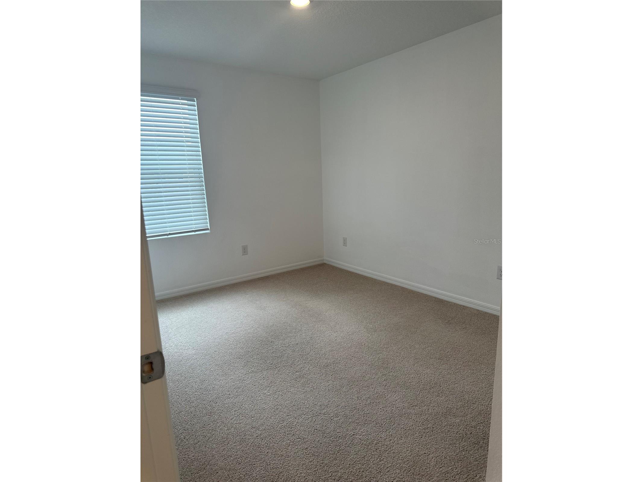 2358 Paravane Way Wesley Chapel FL 33543 TB8514039 image30