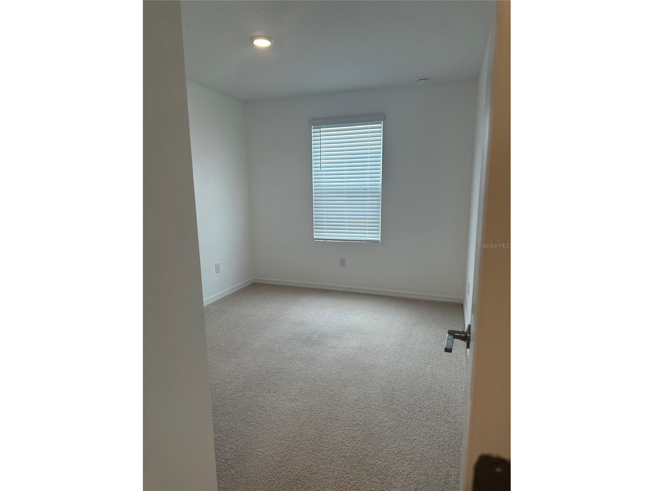 2358 Paravane Way Wesley Chapel FL 33543 TB8514039 image33
