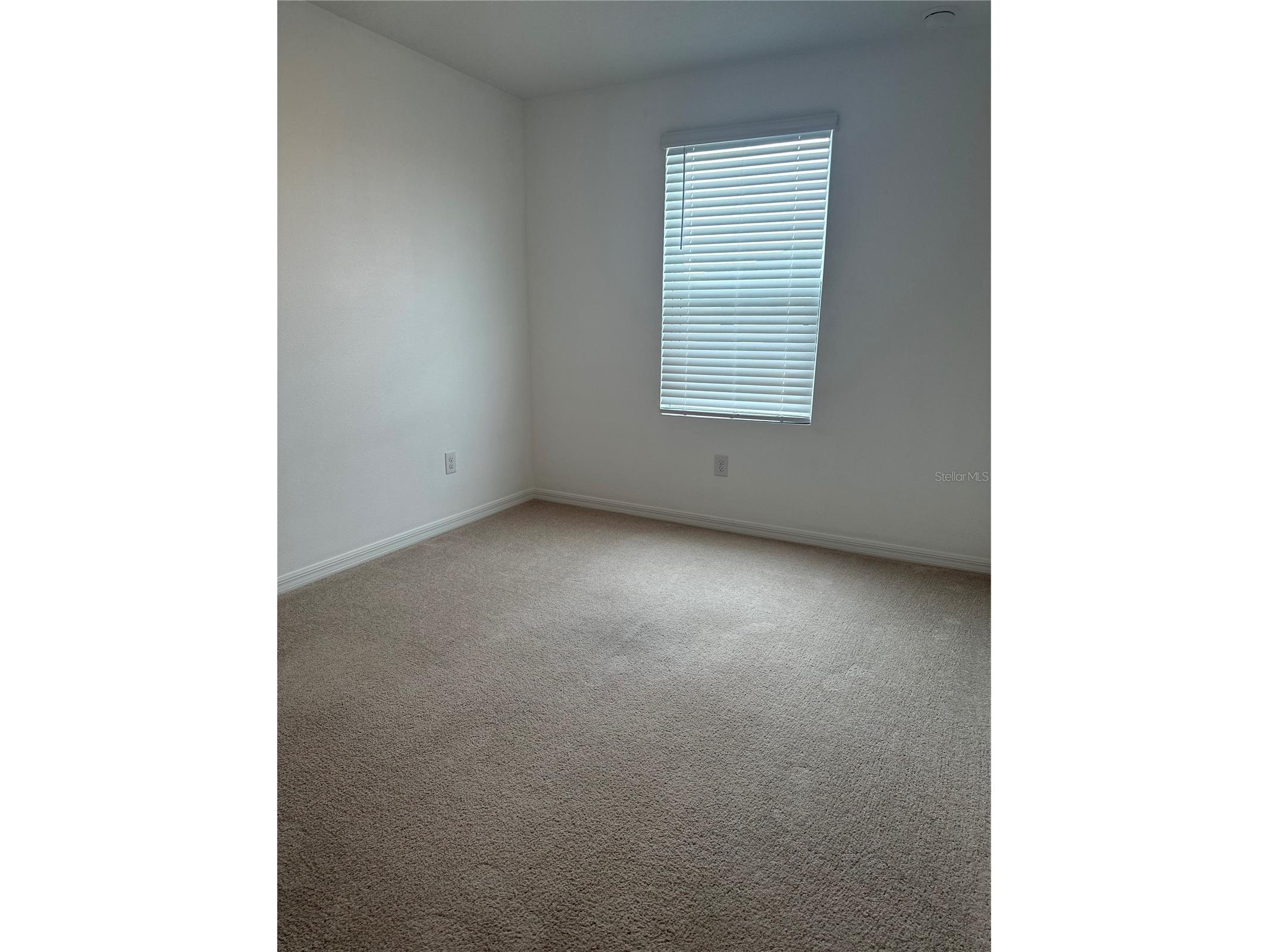 2358 Paravane Way Wesley Chapel FL 33543 TB8514039 image35
