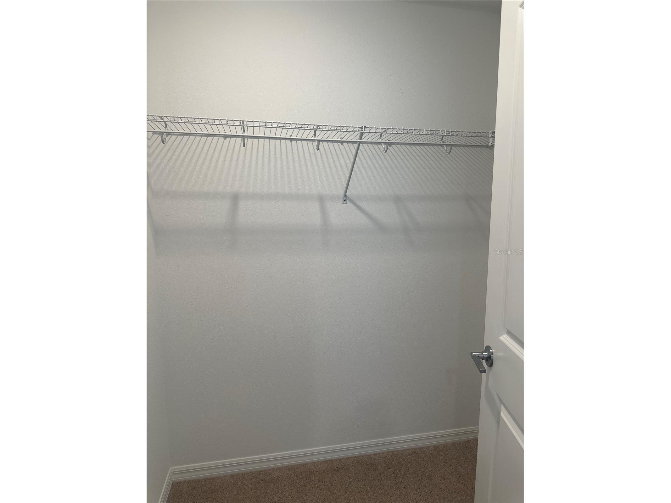 2358 Paravane Way Wesley Chapel FL 33543 TB8514039 image44