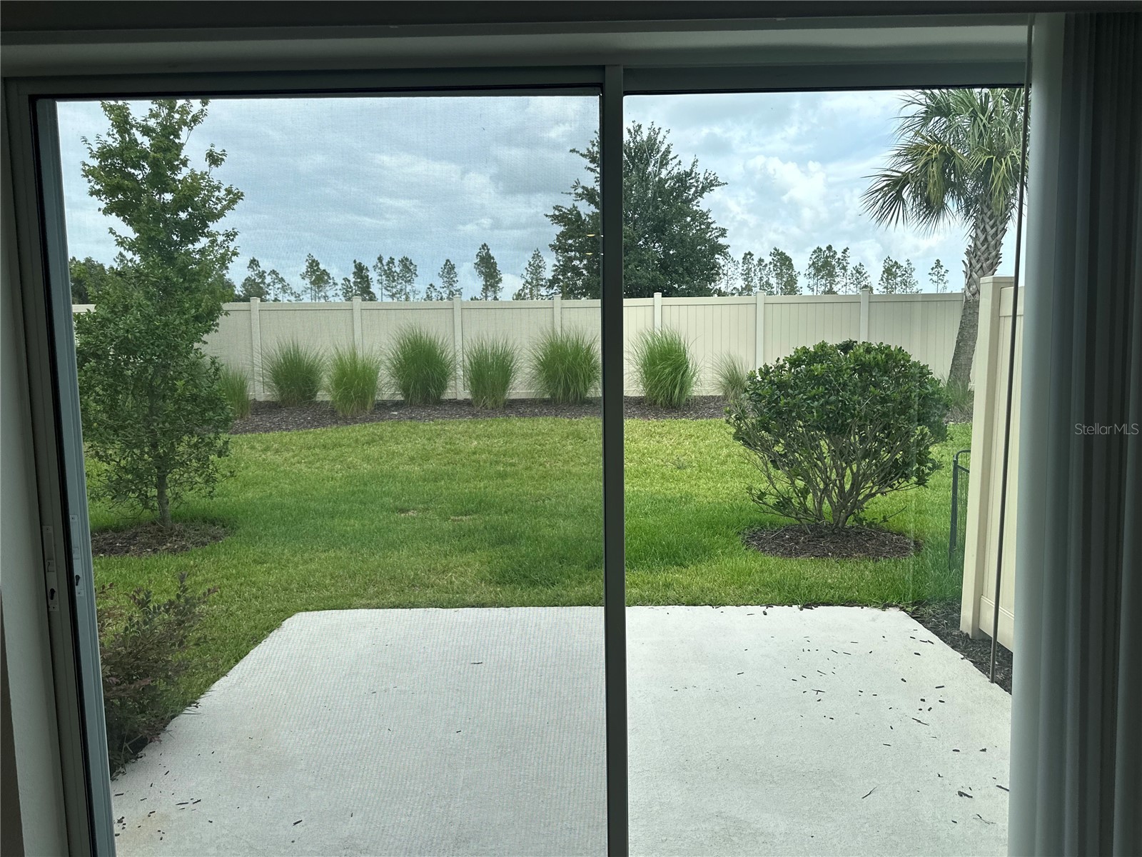 2358 Paravane Way Wesley Chapel FL 33543 TB8514039 image48