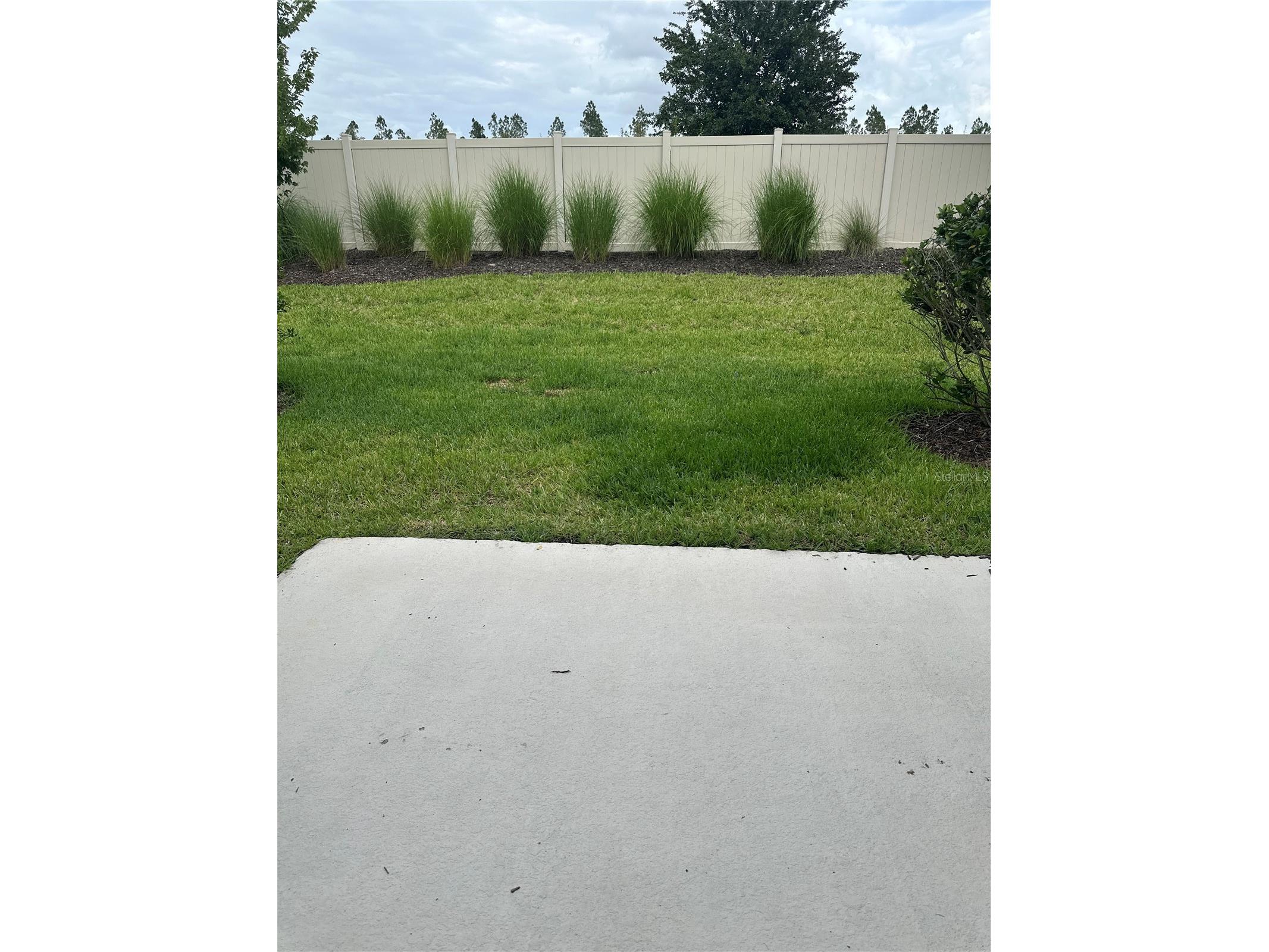 2358 Paravane Way Wesley Chapel FL 33543 TB8514039 image50