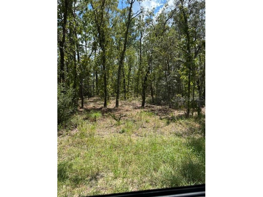 2358 W Elmore Loop Citrus Springs FL 34434 OM664456 image1