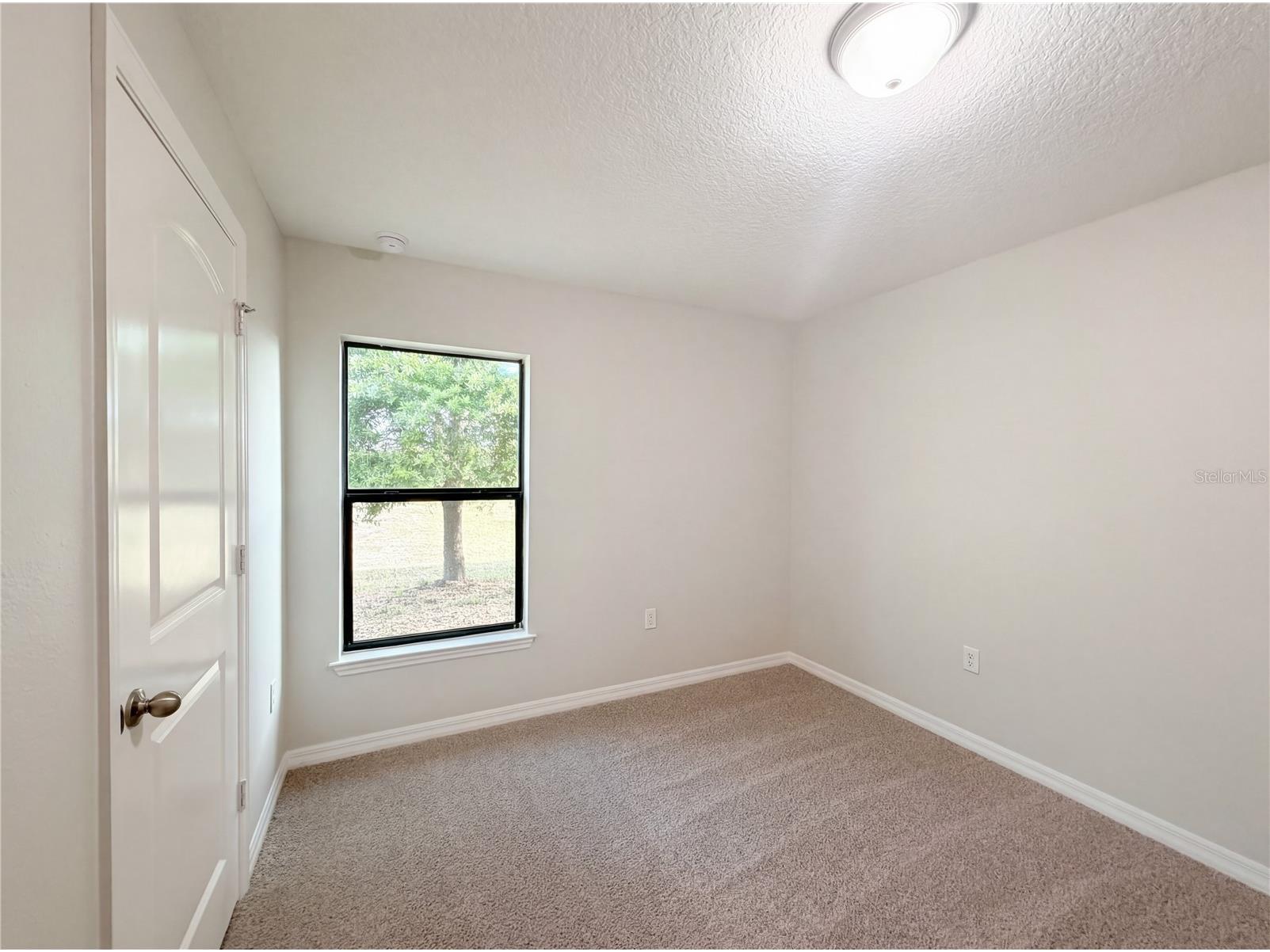 2359 Bexley Drive Tavares FL 32778 O6394969 image20