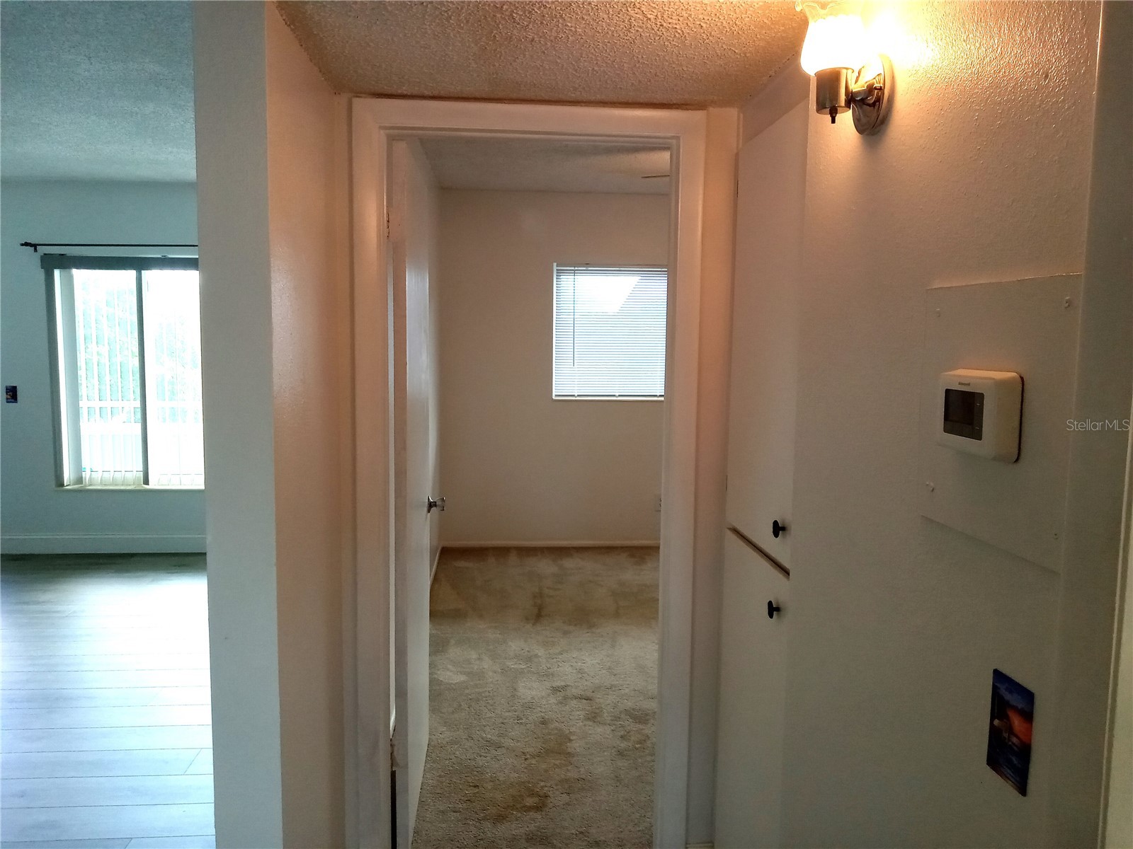 2359 Finlandia Lane #65 Clearwater FL 33763 TB8496837 image23