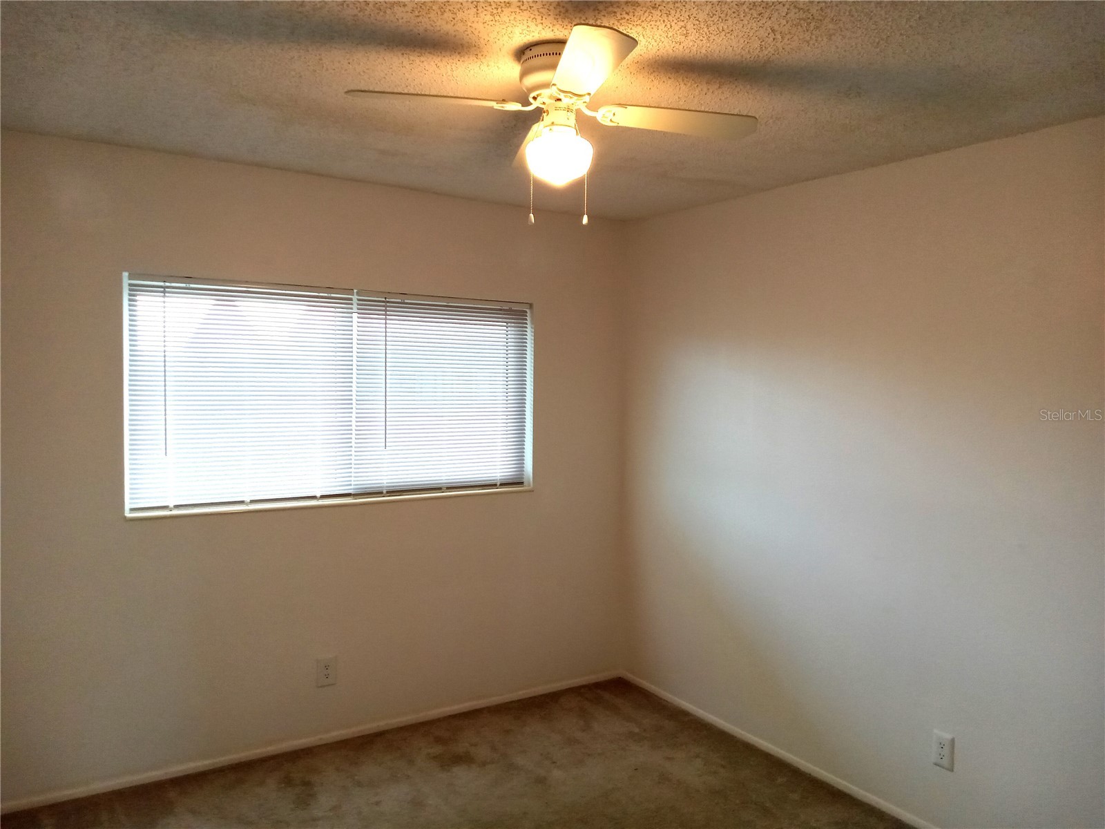 2359 Finlandia Lane #65 Clearwater FL 33763 TB8496837 image24