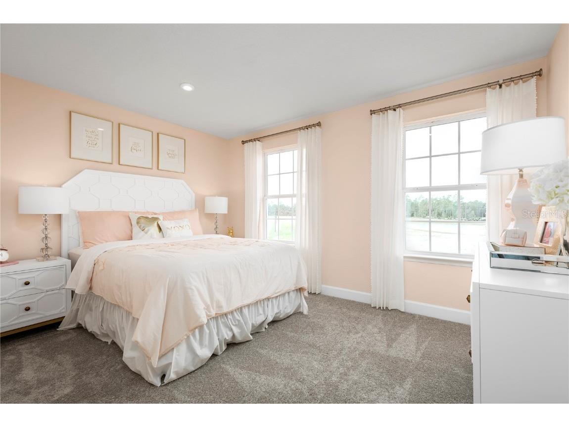 2359 Scenic Park Loop Wimauma FL 33598 W7877422 image13