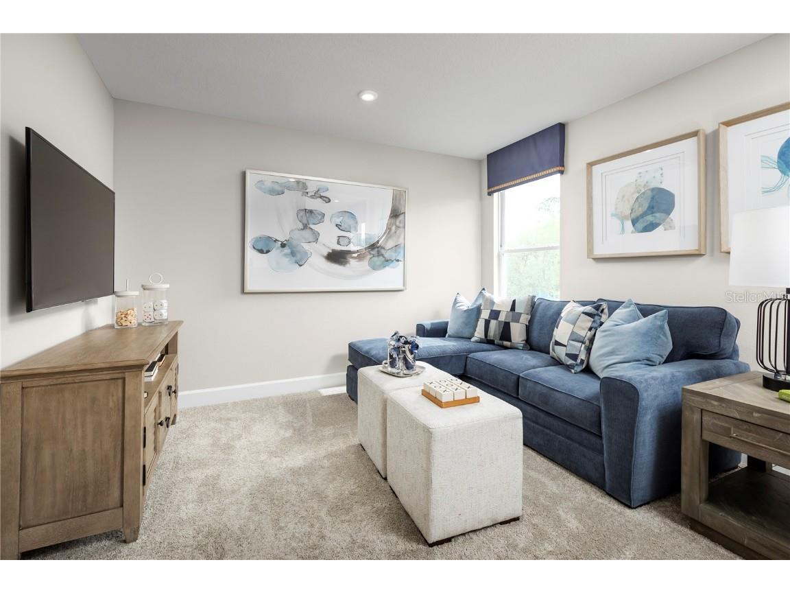 2359 Scenic Park Loop Wimauma FL 33598 W7877422 image17