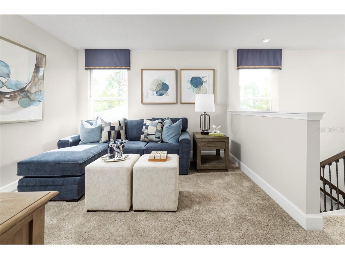 2359 Scenic Park Loop Wimauma FL 33598 W7877422 image18