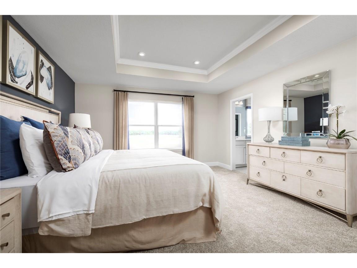 2359 Scenic Park Loop Wimauma FL 33598 W7877422 image21