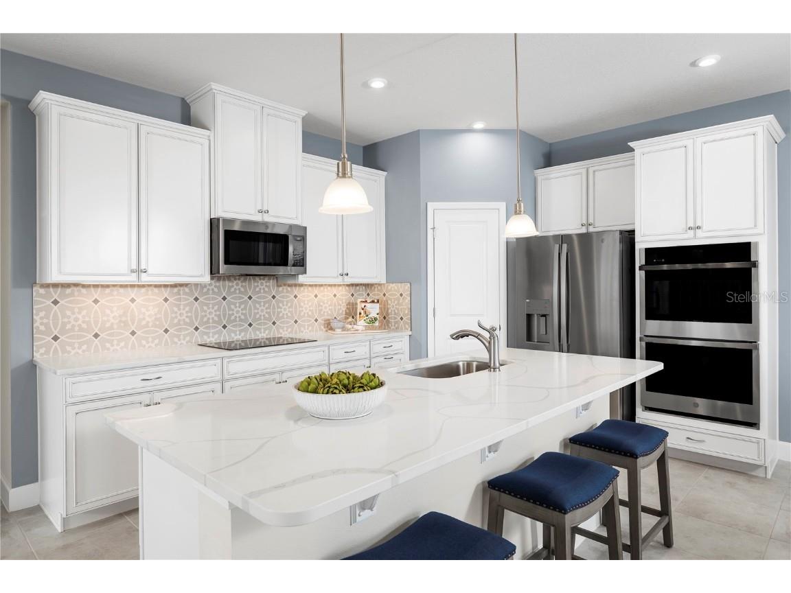 2359 Scenic Park Loop Wimauma FL 33598 W7877422 image3