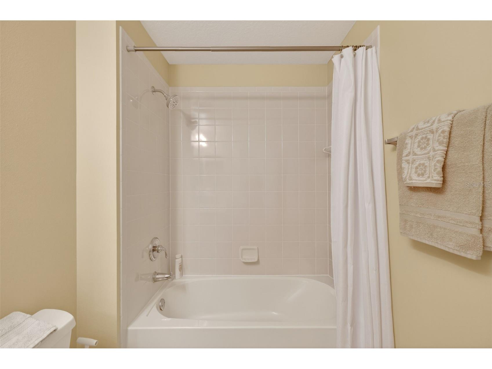 2359 Wakefield Way Mount Dora FL 32757 - LAKES OF MOUNT DORA G5111169 image34