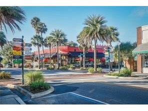 2359 Wakefield Way Mount Dora FL 32757 - LAKES OF MOUNT DORA G5111169 image57