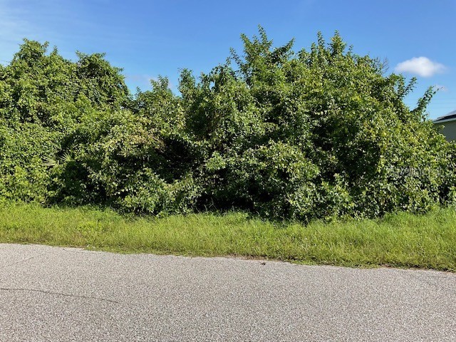 236 Berthoud Street Port Charlotte FL 33953 TB8438593 image1