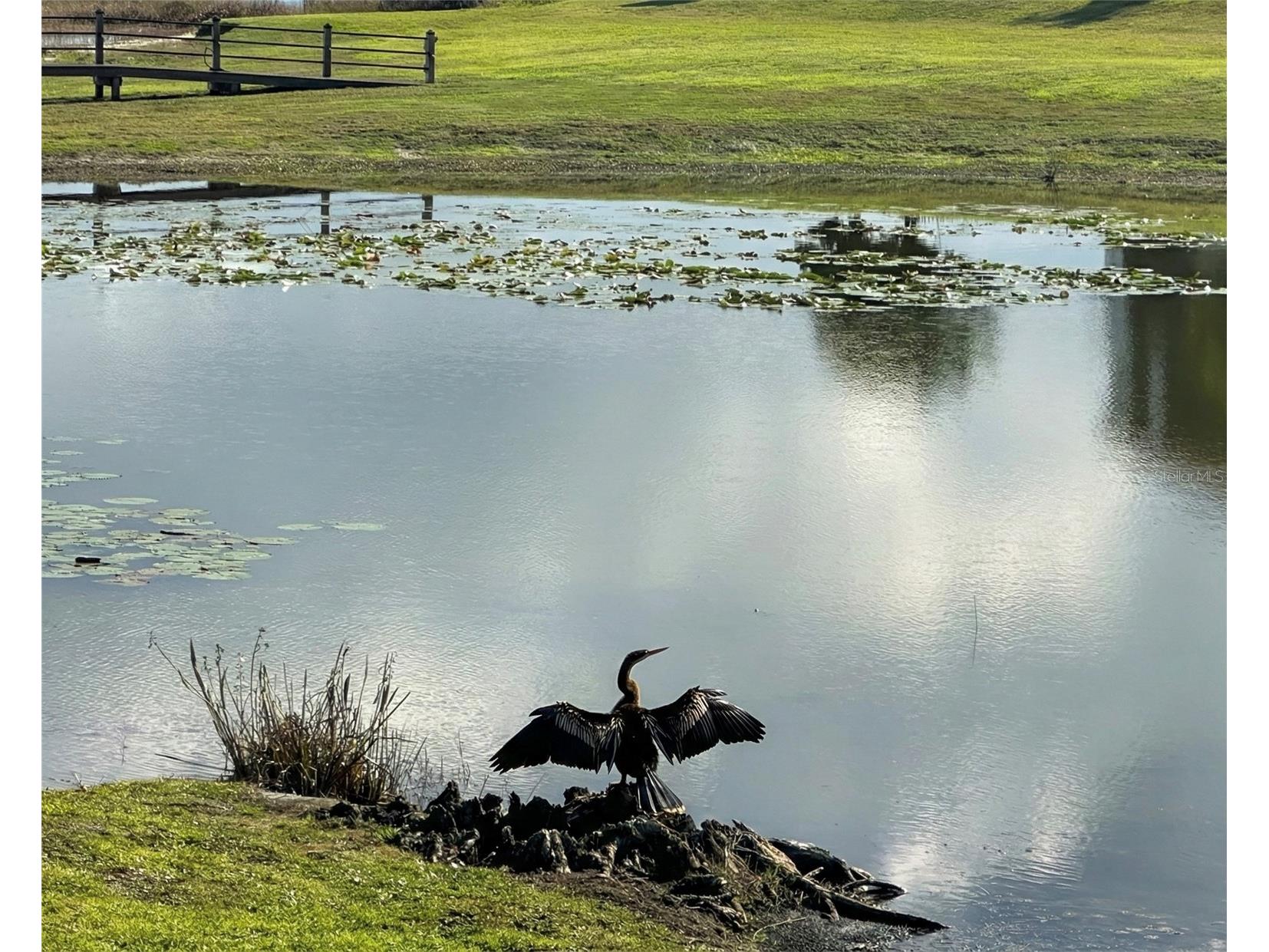 236 Caladium Avenue Lake Alfred FL 33850 L4958347 image45