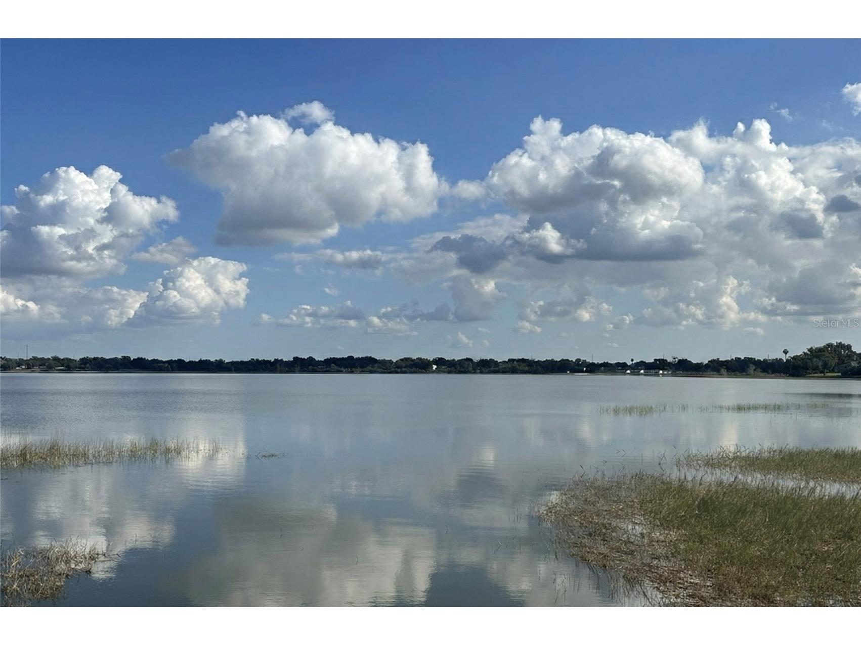 236 Caladium Avenue Lake Alfred FL 33850 L4958347 image46