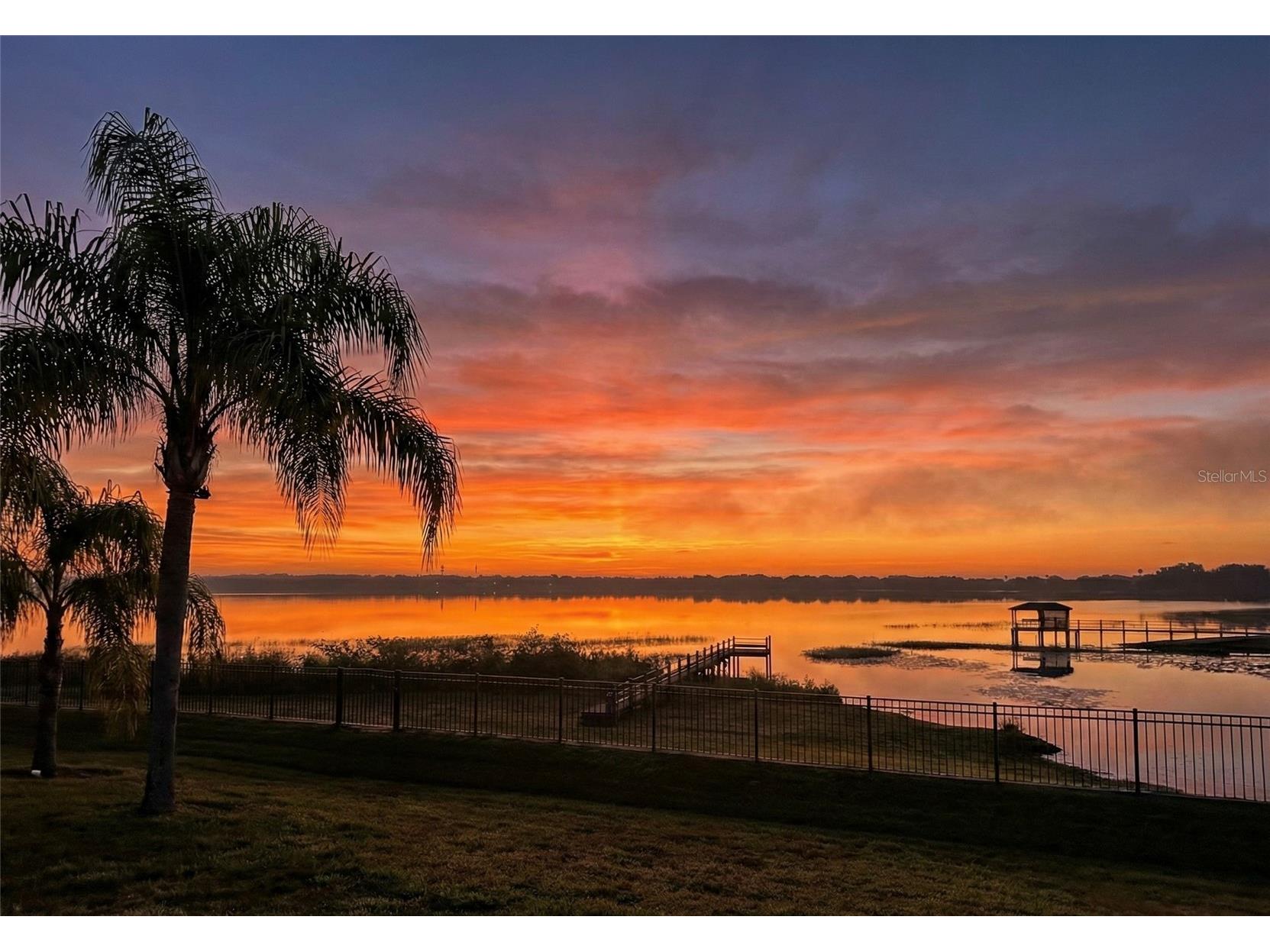 236 Caladium Avenue Lake Alfred FL 33850 L4958347 image48