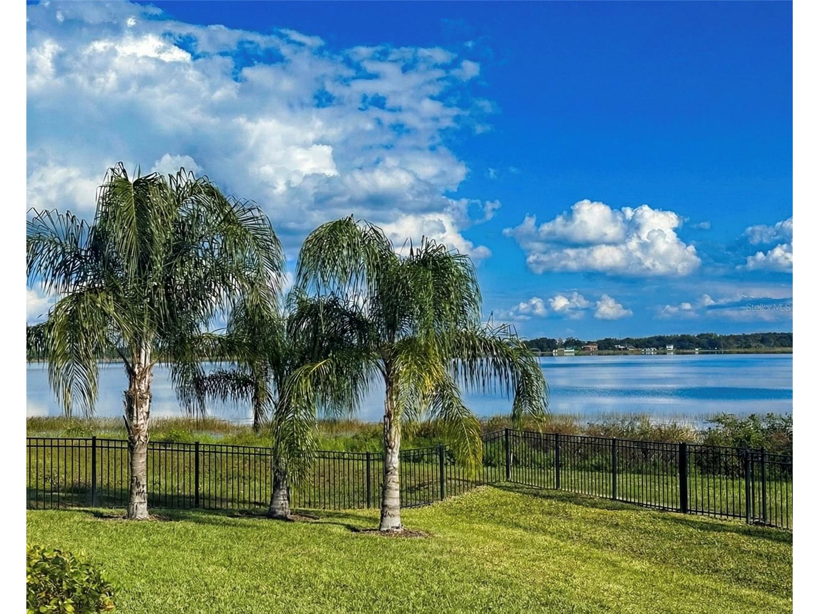 236 Caladium Avenue Lake Alfred FL 33850 - LAKE ALFRED L4961393 image26