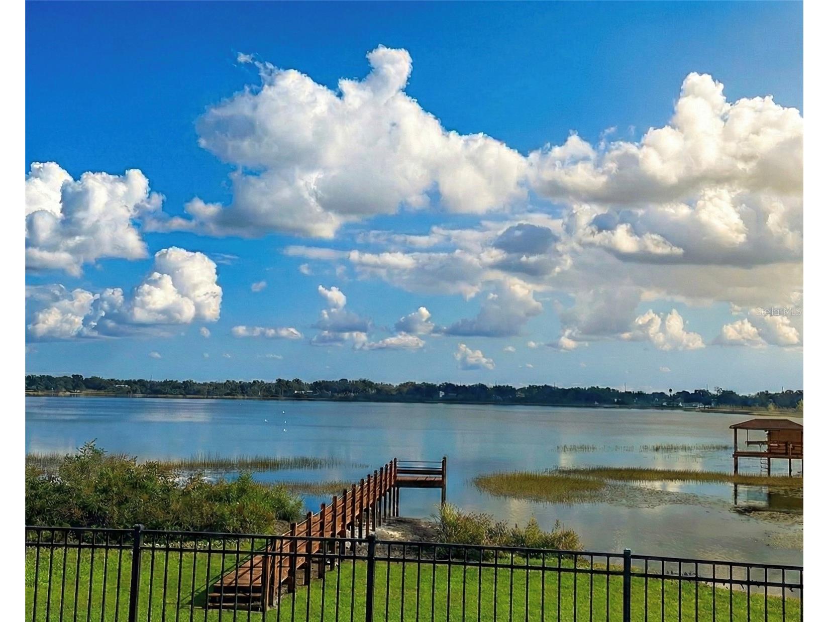 236 Caladium Avenue Lake Alfred FL 33850 - LAKE ALFRED L4961393 image27