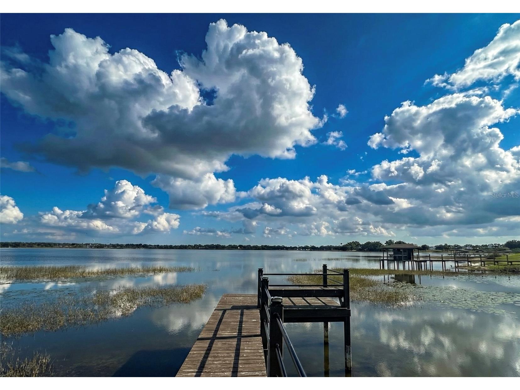 236 Caladium Avenue Lake Alfred FL 33850 - LAKE ALFRED L4961393 image28