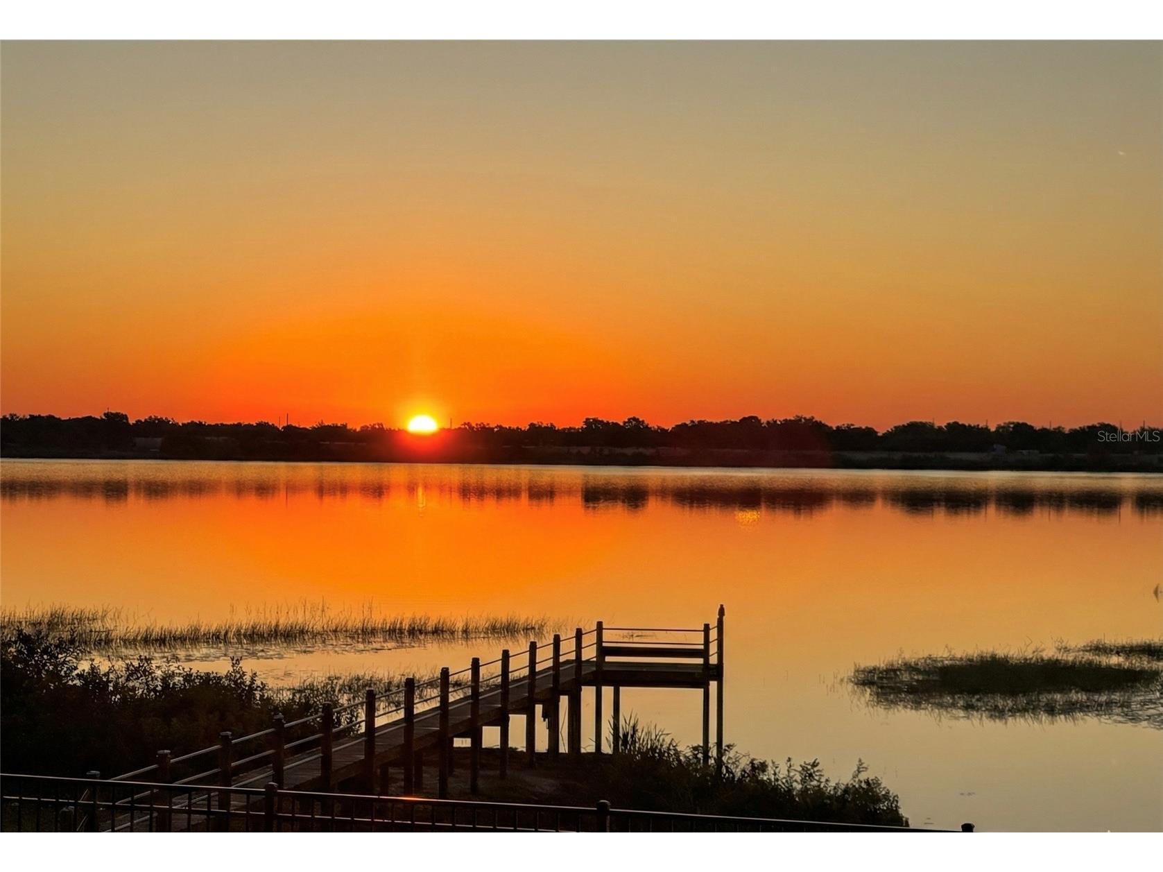 236 Caladium Avenue Lake Alfred FL 33850 - LAKE ALFRED L4961393 image30