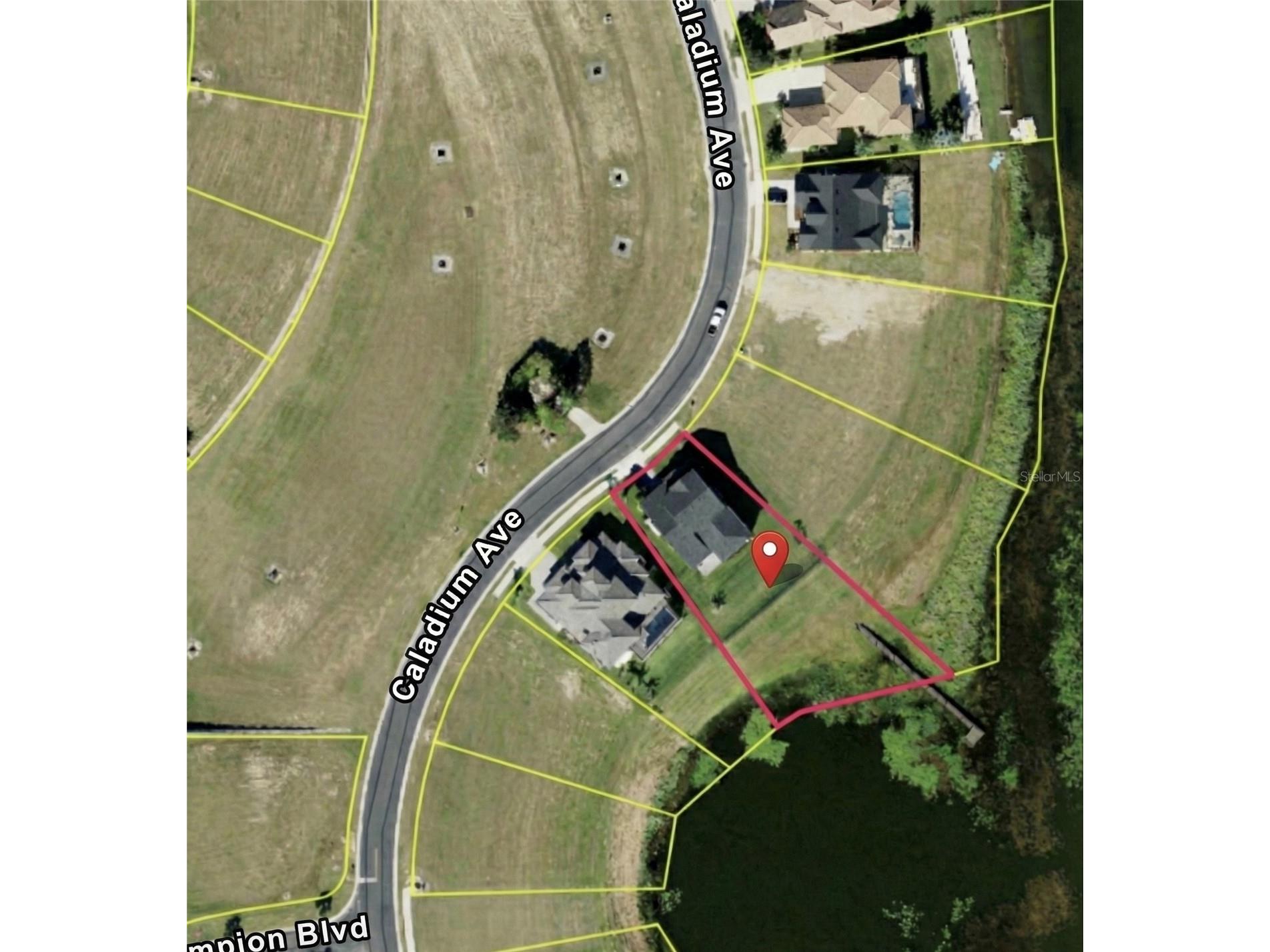 236 Caladium Avenue Lake Alfred FL 33850 - LAKE ALFRED L4961393 image6