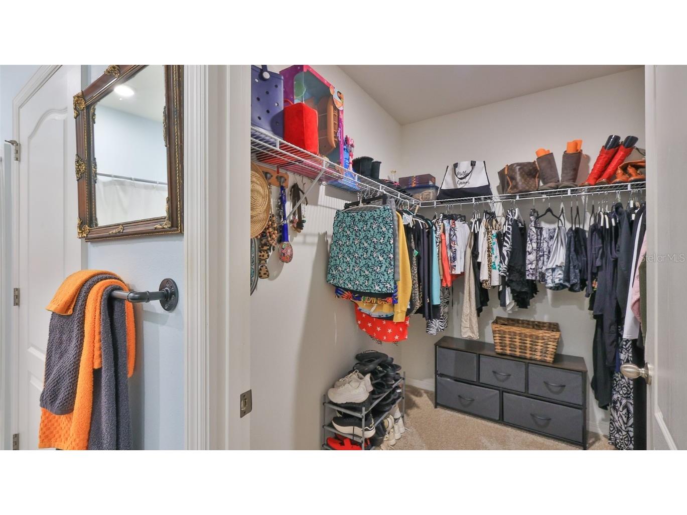 236 Caryota Court New Smyrna Beach FL 32168 O6332615 image19