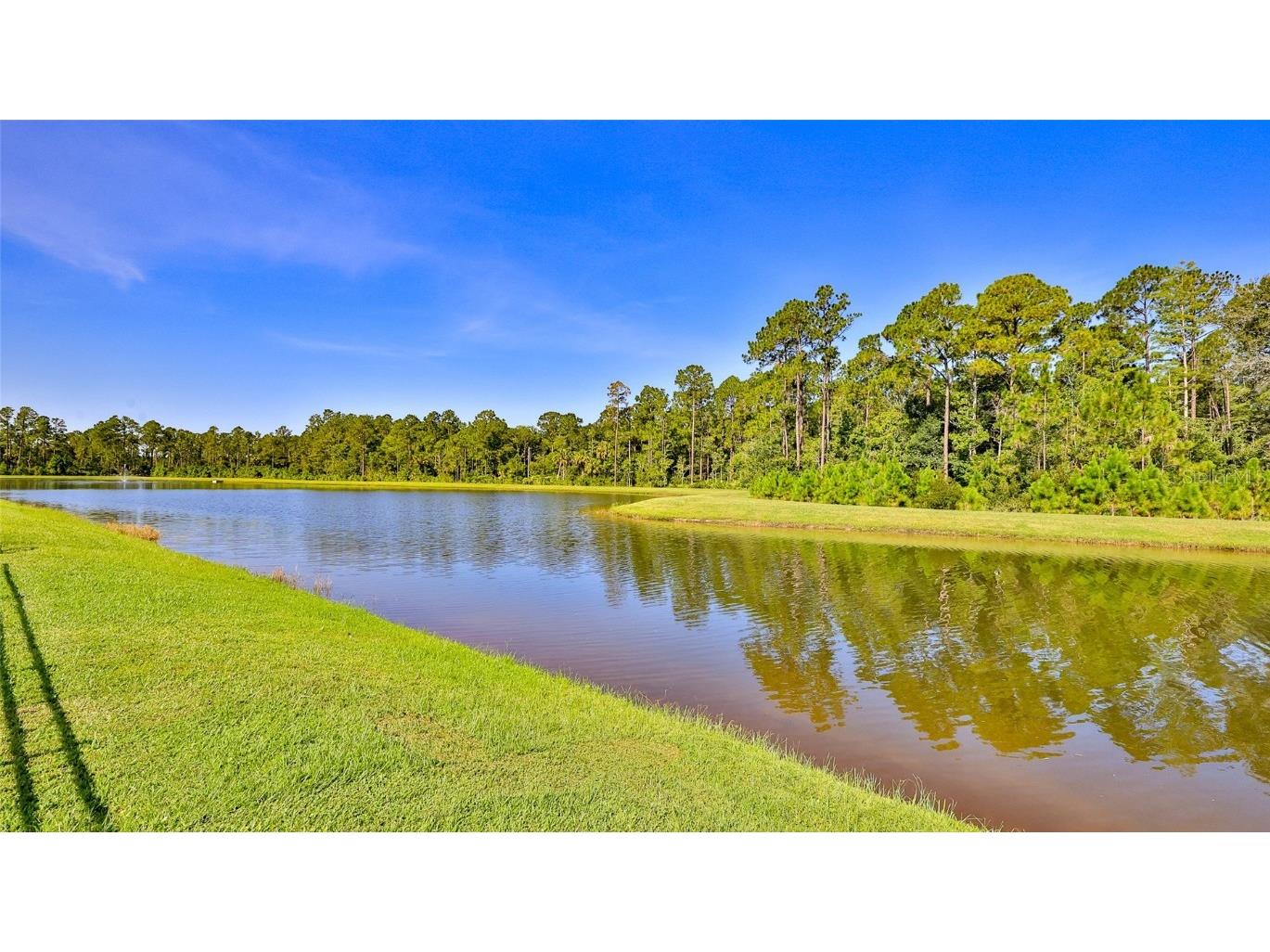 236 Caryota Court New Smyrna Beach FL 32168 O6332615 image23