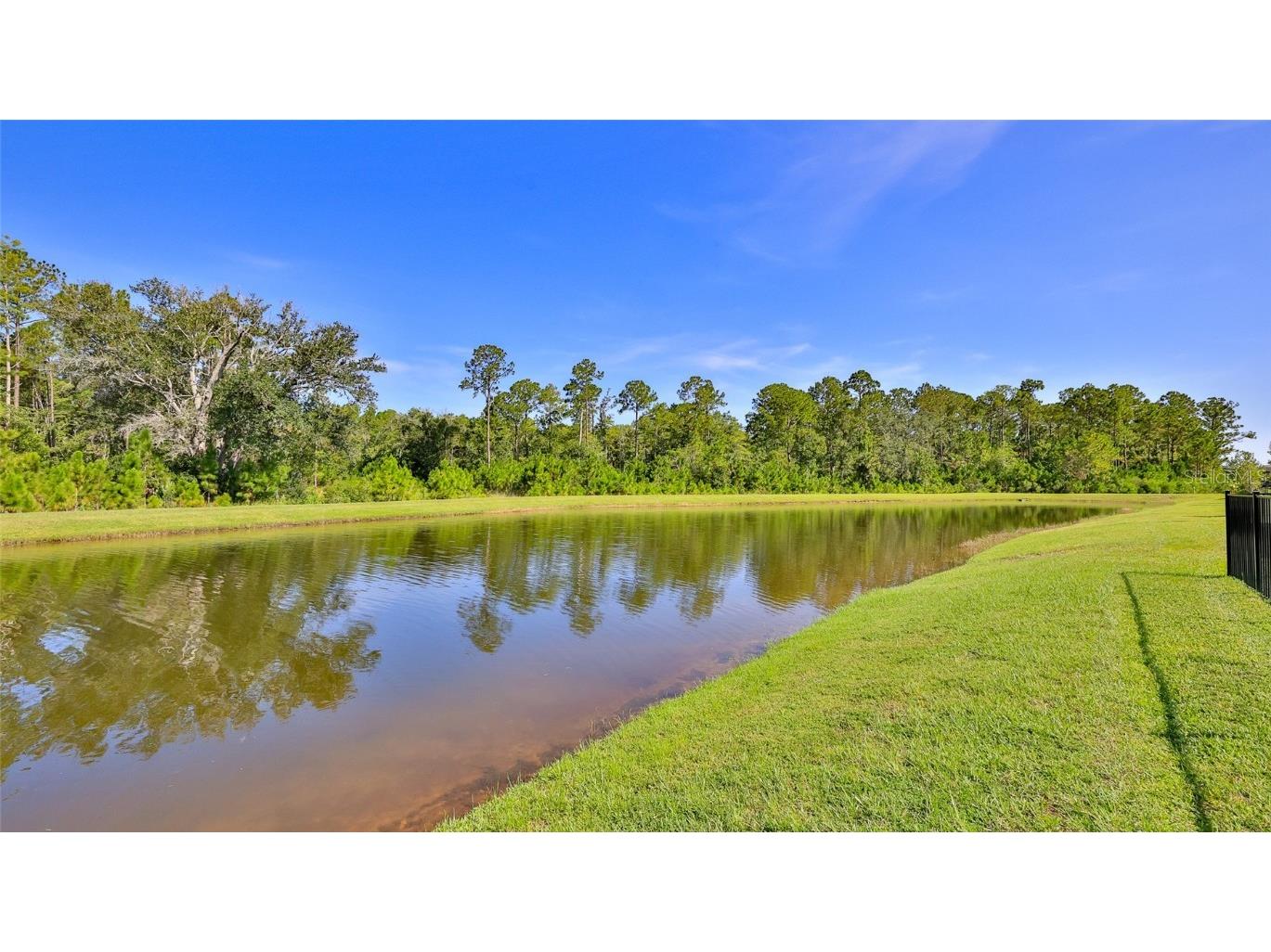 236 Caryota Court New Smyrna Beach FL 32168 O6332615 image24