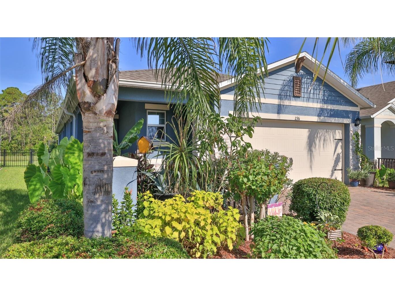 236 Caryota Court New Smyrna Beach FL 32168 O6332615 image27