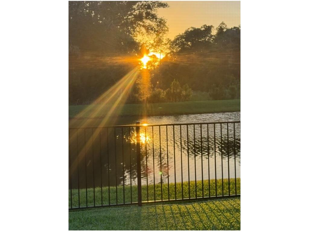 236 Caryota Court New Smyrna Beach FL 32168 O6332615 image31