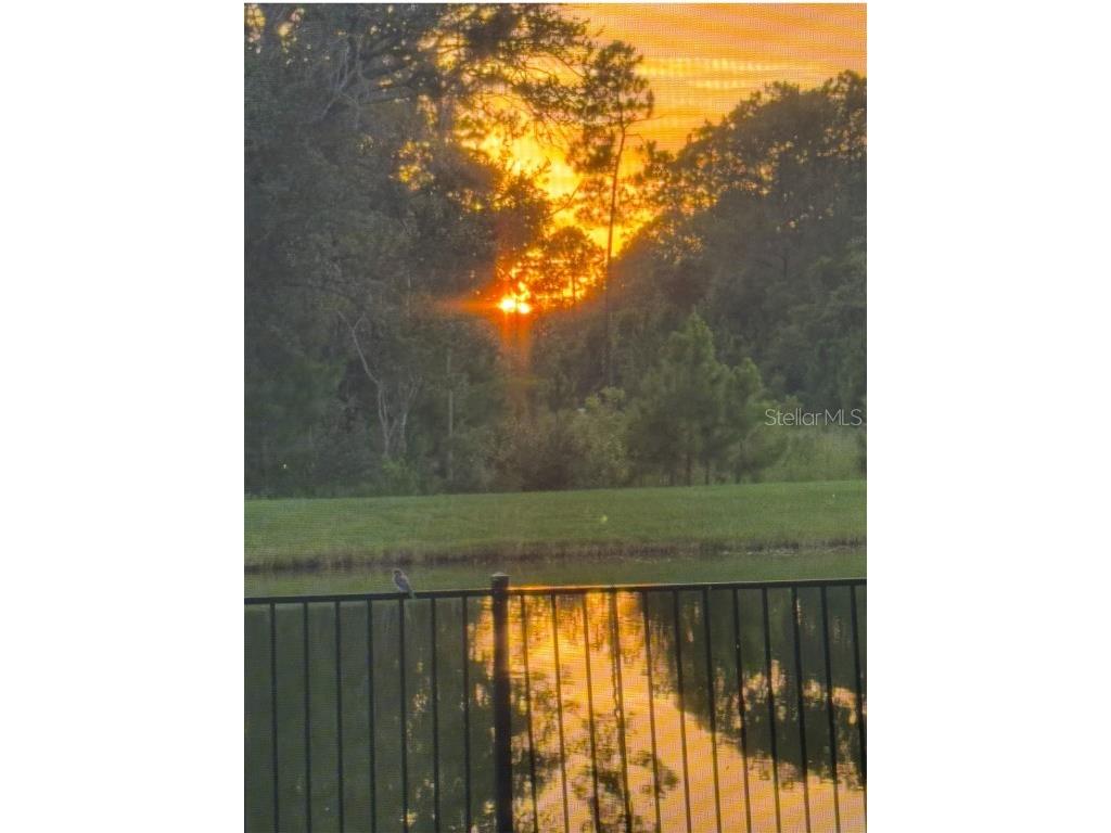 236 Caryota Court New Smyrna Beach FL 32168 O6332615 image32