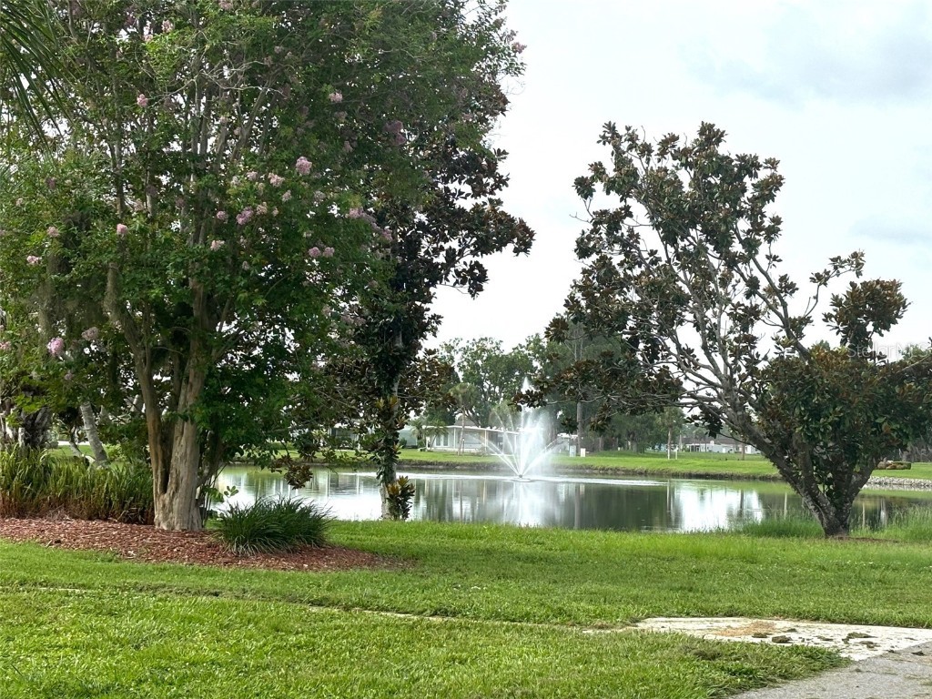 236 El Prado North Port FL 34287 T3540522 image5