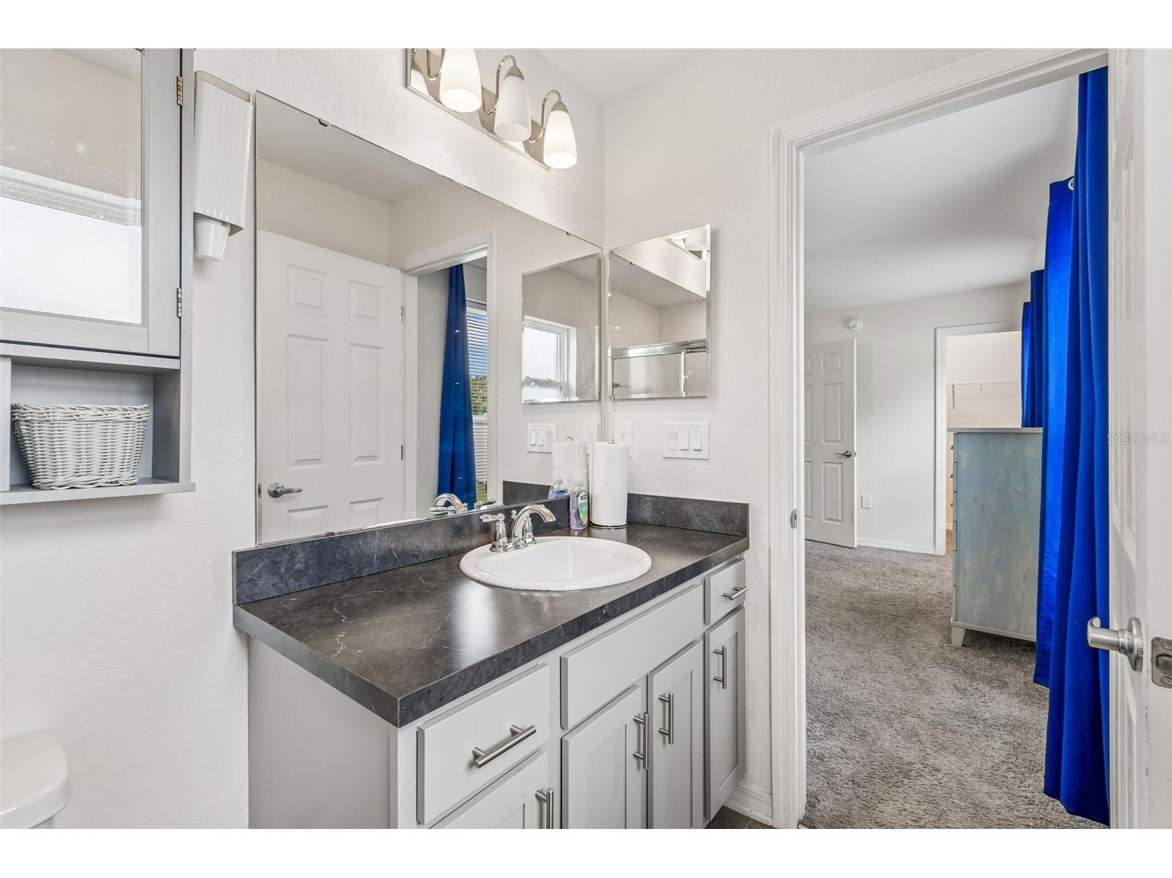 236 Foxtail Loop Davenport FL 33837 TB8510974 image25