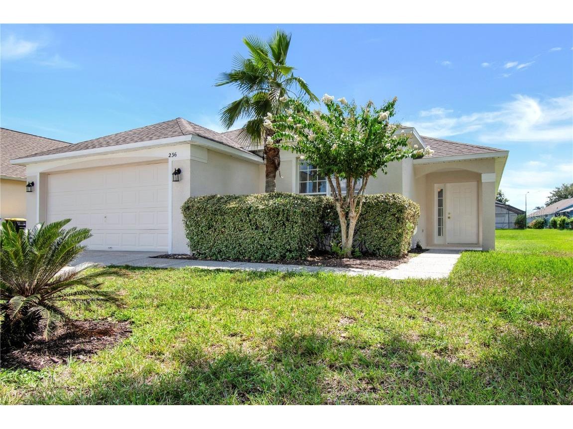 236 Langham Drive Davenport FL 33897 S5136543 image4