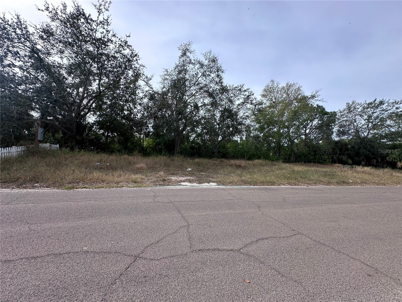 236 Lookout Drive Apollo Beach FL 33572 A4678624 image3