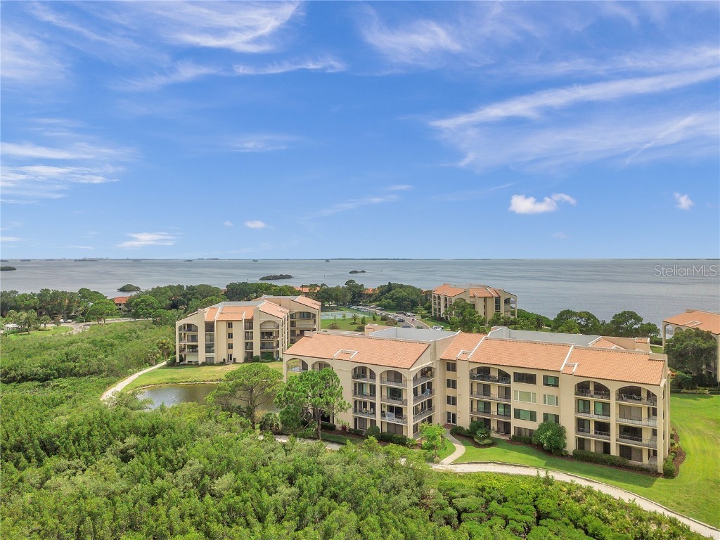 236 Mariner Drive #236 Tarpon Springs FL 34689 - GULF OF MEXICO U8168094 image1