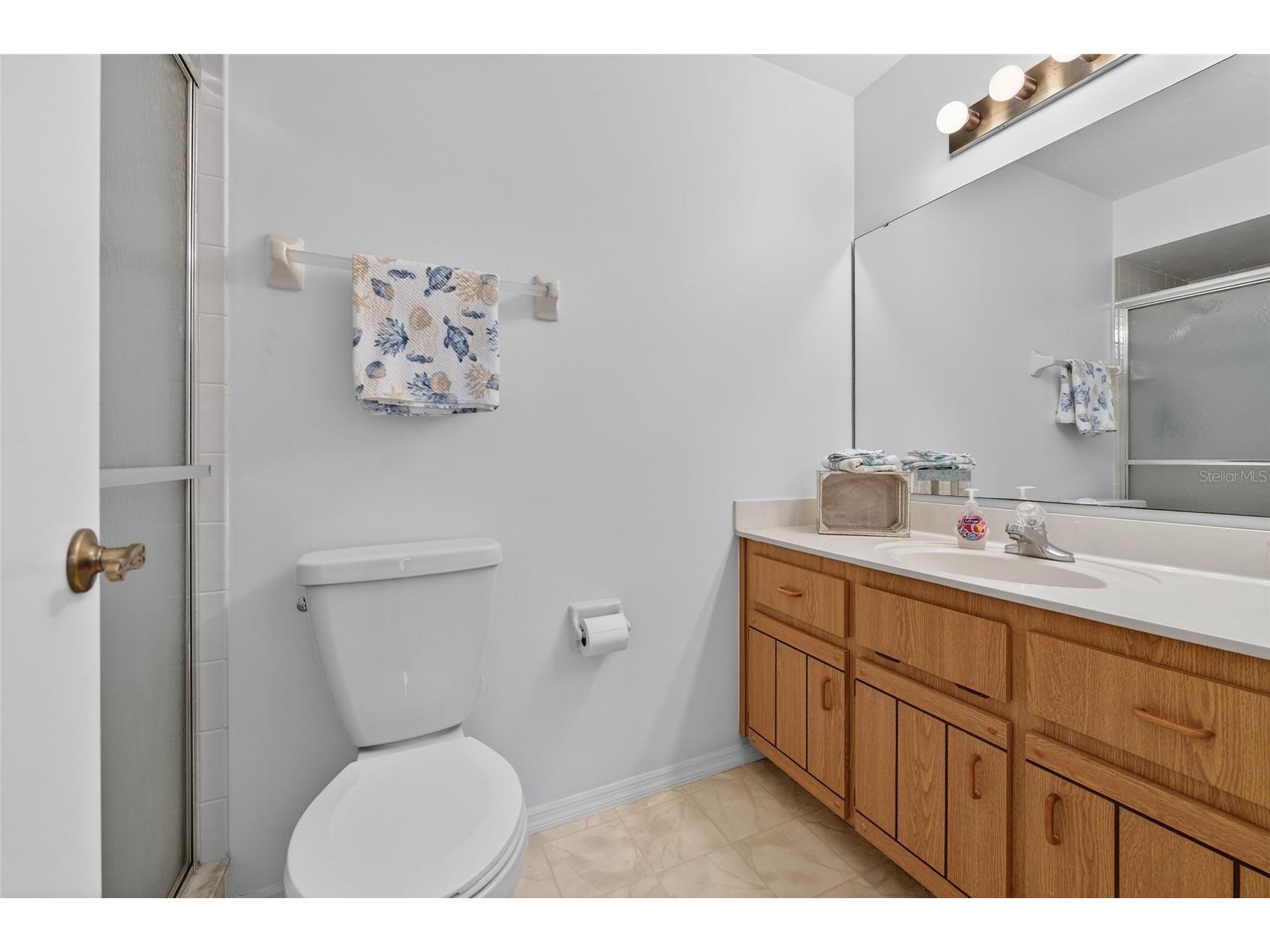 236 Meadow Lake Drive Edgewater FL 32141 NS1086732 image9