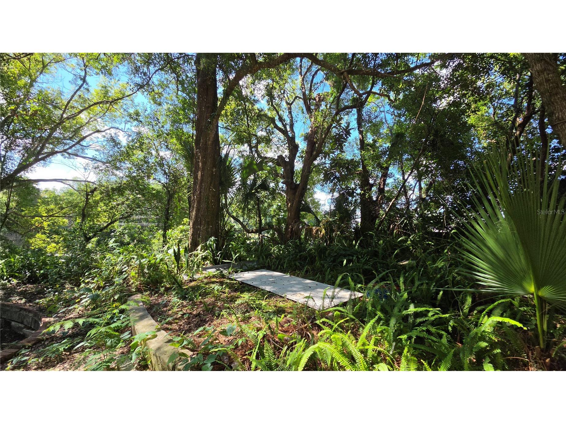 236 N Amelia Avenue Deland FL 32724 V4949813 image10