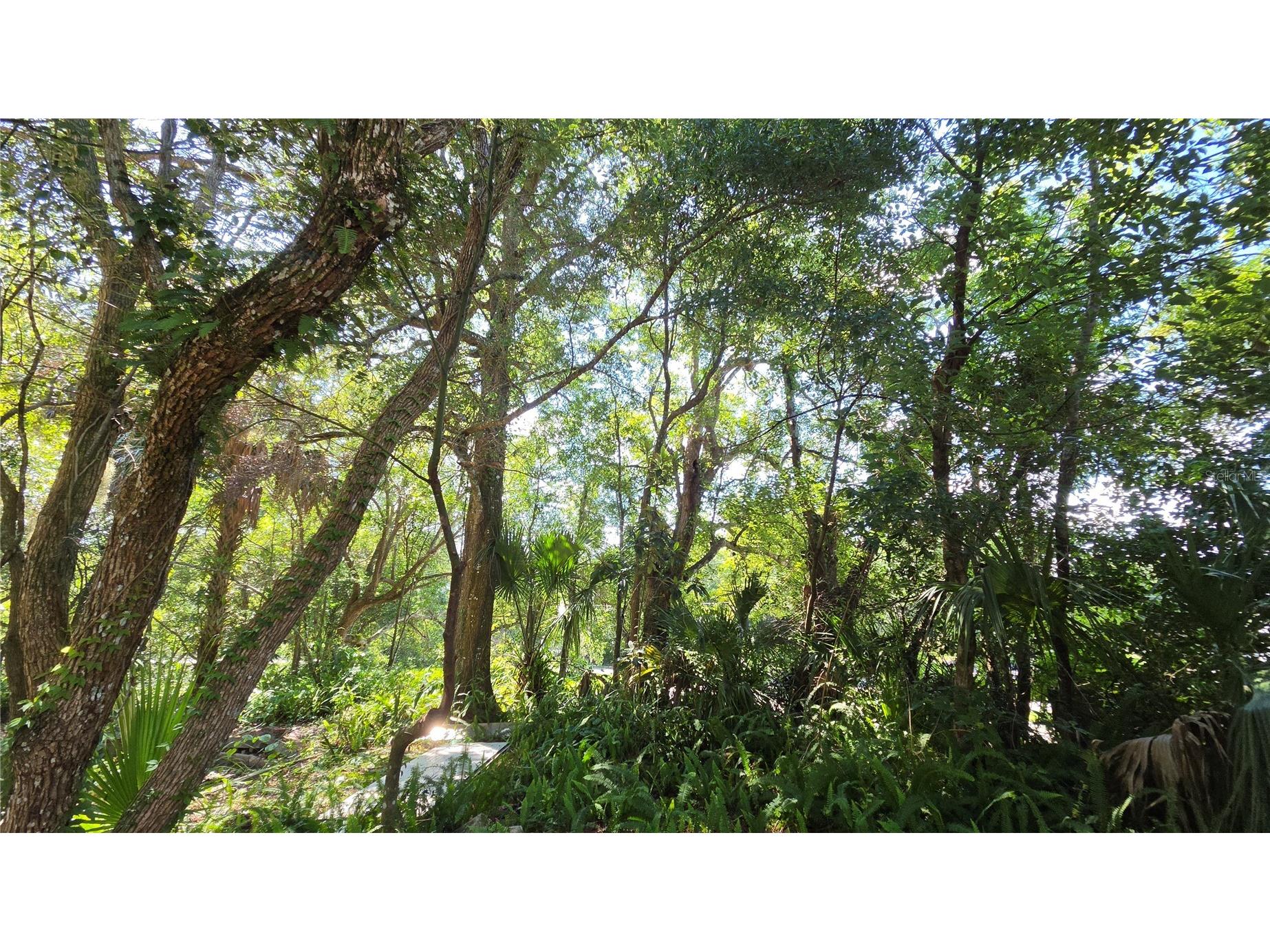 236 N Amelia Avenue Deland FL 32724 V4949813 image11