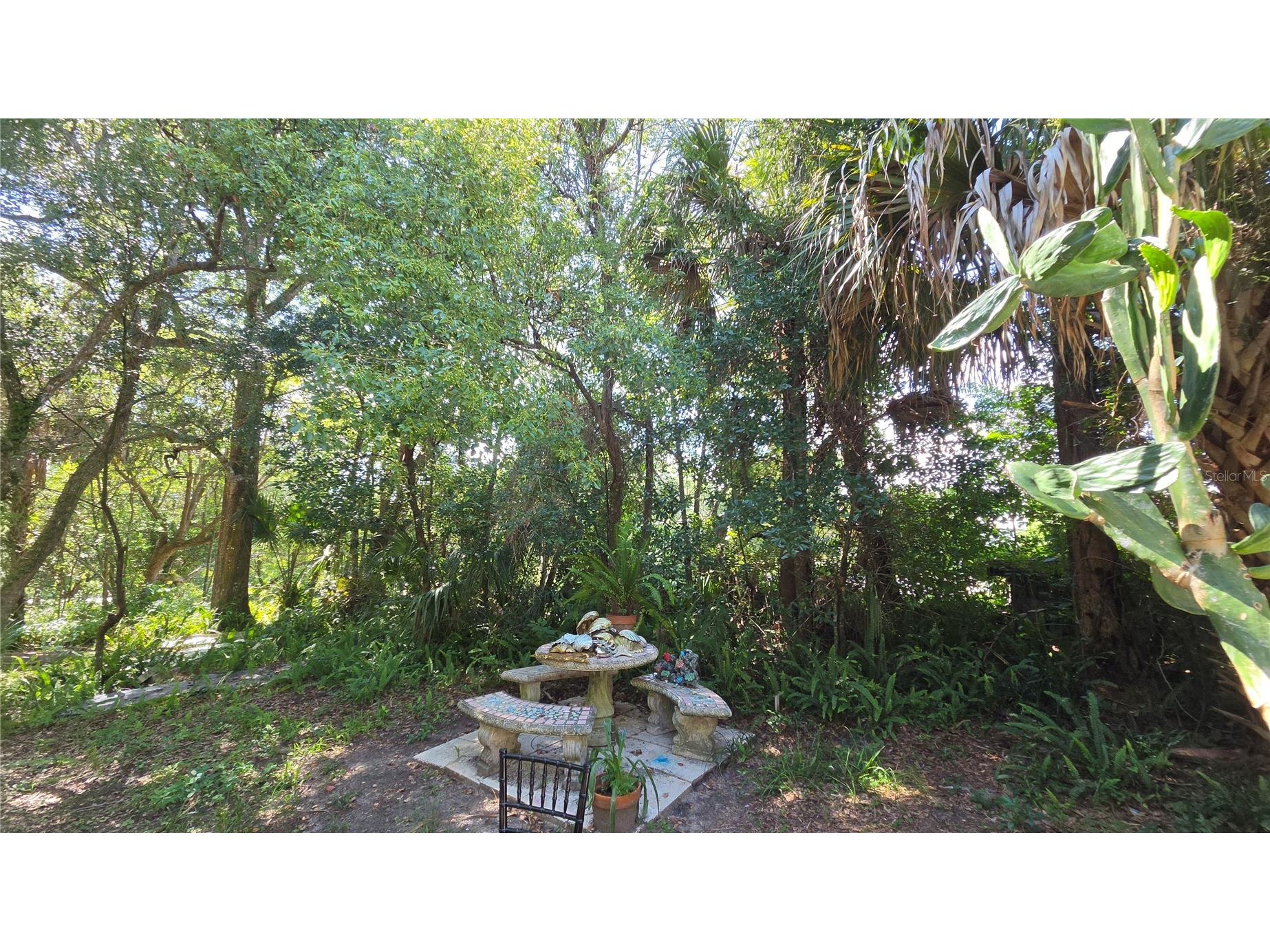 236 N Amelia Avenue Deland FL 32724 V4949813 image13