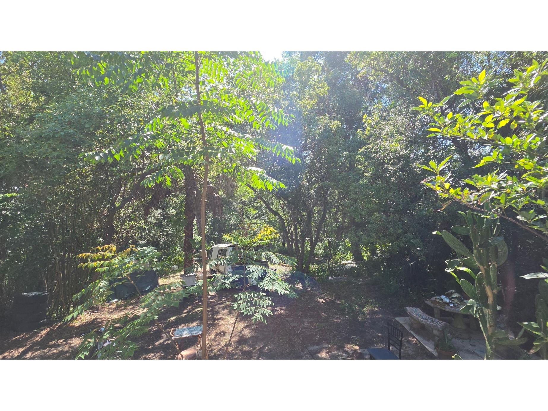 236 N Amelia Avenue Deland FL 32724 V4949813 image14