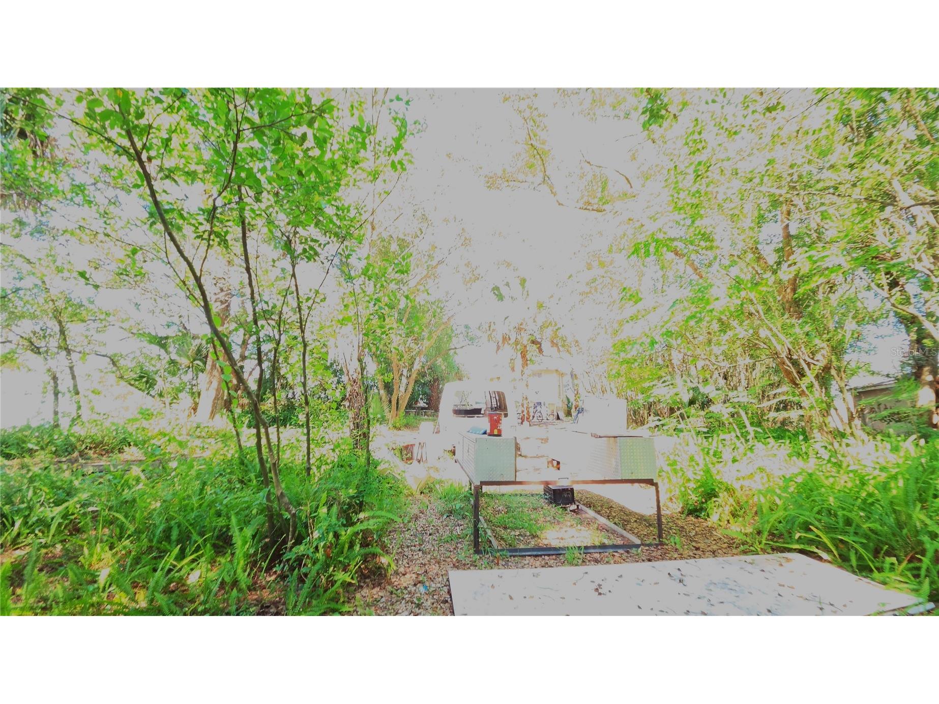 236 N Amelia Avenue Deland FL 32724 V4949813 image19