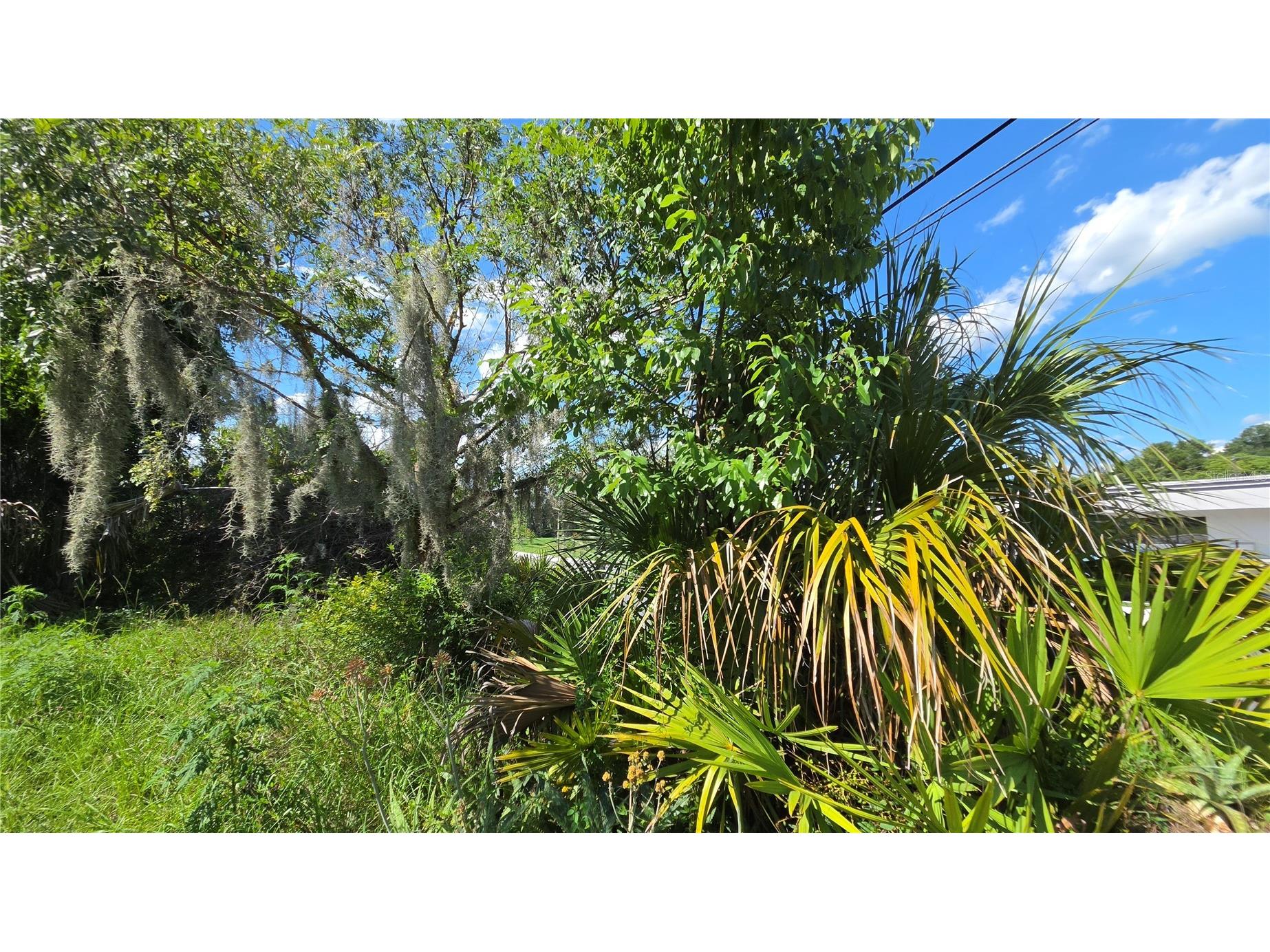 236 N Amelia Avenue Deland FL 32724 V4949813 image24