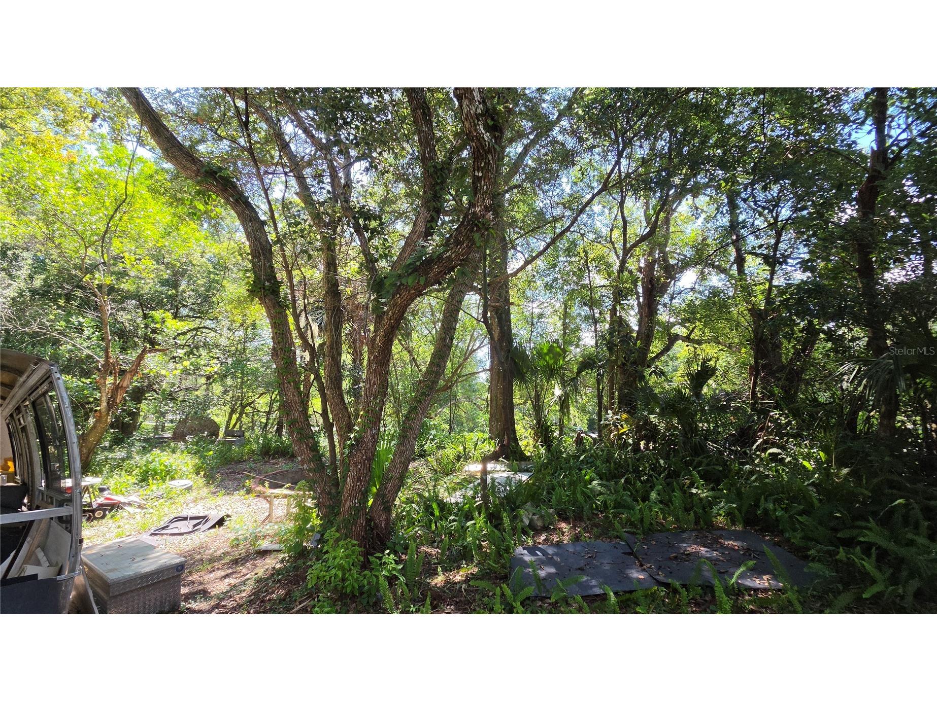 236 N Amelia Avenue Deland FL 32724 V4949813 image8