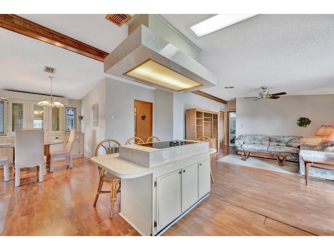 236 N Saint Thomas Circle Apollo Beach FL 33572 TB8437075 image14